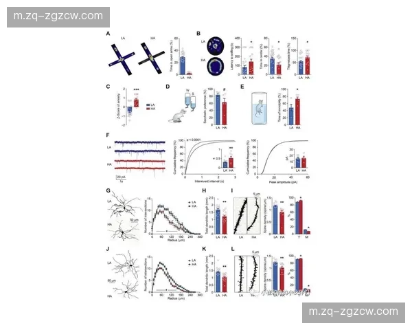阵容结构趋向功能型轮换 对位关系复杂性显著增加网页
